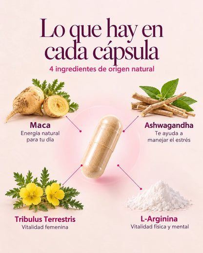 Ingredientes de cada cápsula: Maca, Ashwagandha, Tribulus Terrestris y L-Arginina